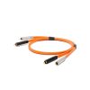 OYAIDE NEO D+ RCA Class A 2M
