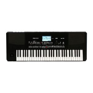 KORG PA300 ARRANGER DE 61 TECLAS TECLADO
